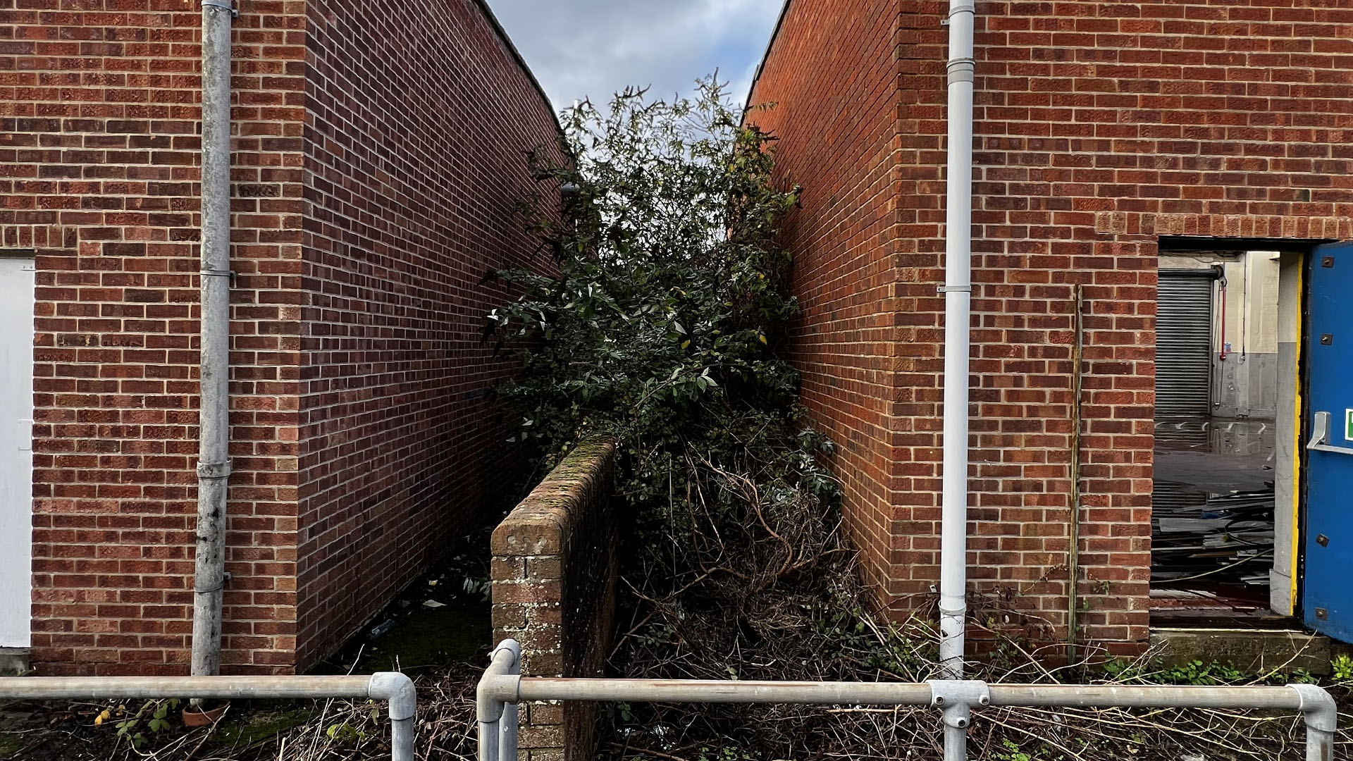 Who Should You Contact First — The Council, a Surveyor, or Your Neighbour Greenford?